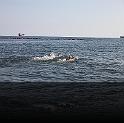 Comen Cup 2009 030